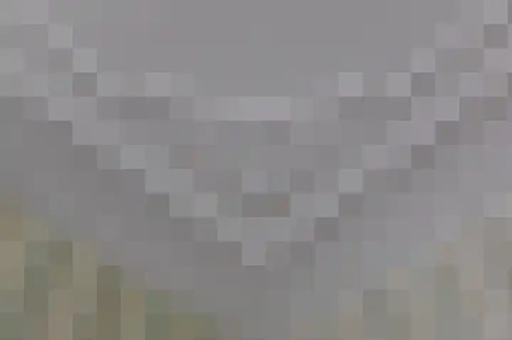 Smidsallee 18 De Steeg thumbnail 20