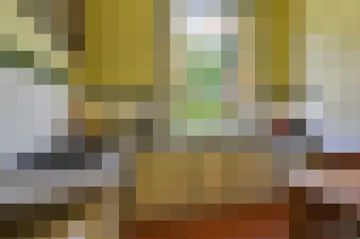 Smidsallee 18 De Steeg thumbnail 21