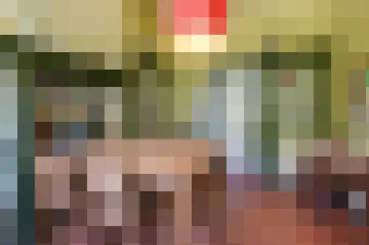 Smidsallee 18 De Steeg thumbnail 22