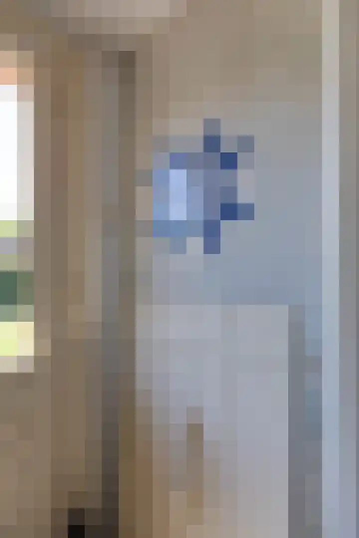 Smidsallee 18 De Steeg thumbnail 27