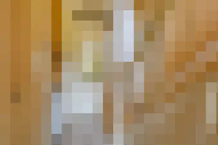 Smidsallee 18 De Steeg thumbnail 28