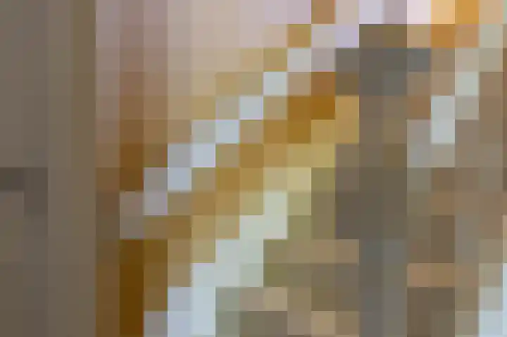 Smidsallee 18 De Steeg thumbnail 29