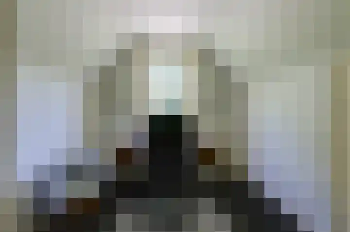 Smidsallee 18 De Steeg thumbnail 37