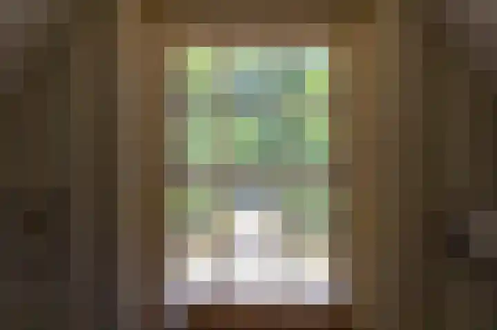Smidsallee 18 De Steeg thumbnail 38