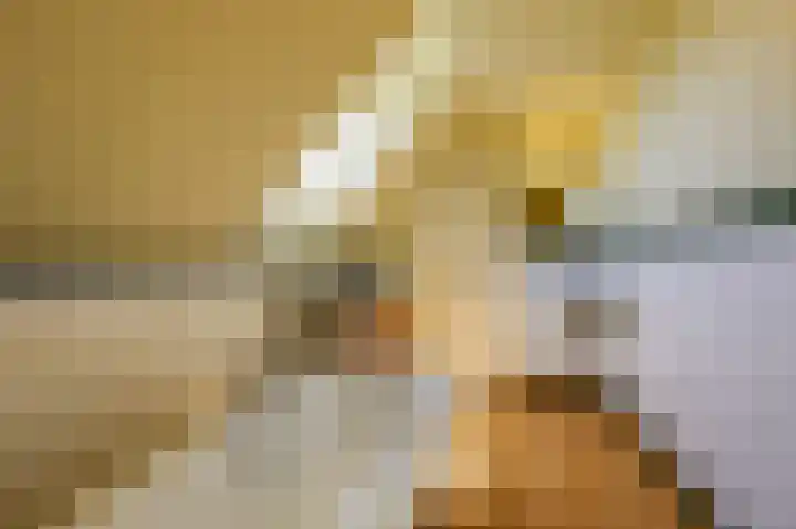 Smidsallee 18 De Steeg thumbnail 39