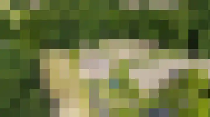 Smidsallee 18 De Steeg thumbnail 4