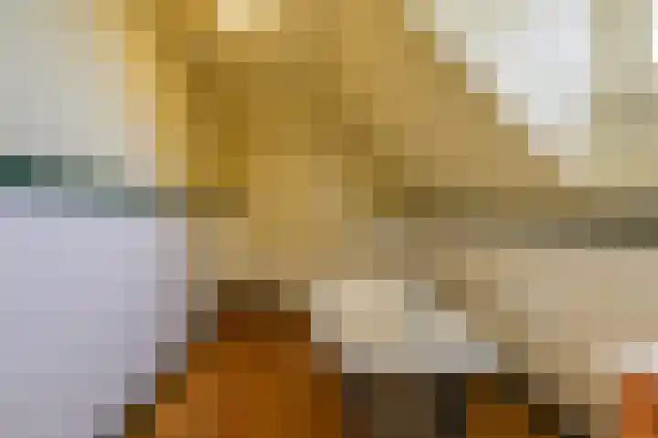 Smidsallee 18 De Steeg thumbnail 40