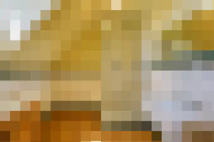 Smidsallee 18 De Steeg thumbnail 41