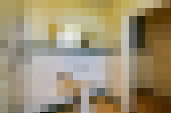 Smidsallee 18 De Steeg thumbnail 42