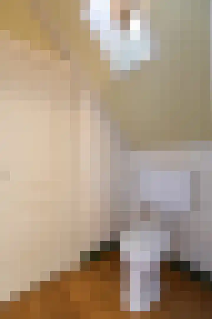 Smidsallee 18 De Steeg thumbnail 43