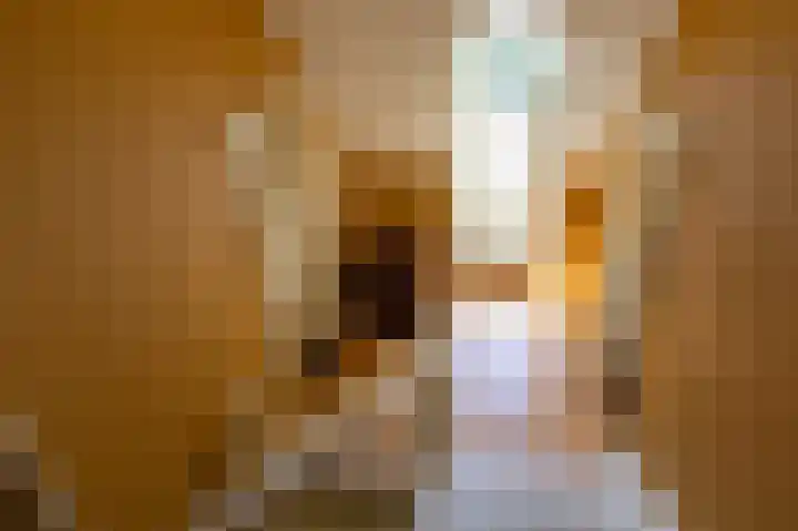 Smidsallee 18 De Steeg thumbnail 44