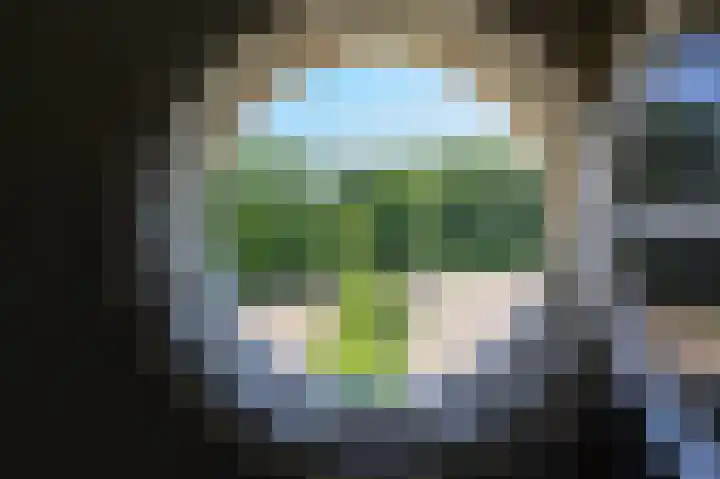 Smidsallee 18 De Steeg thumbnail 45