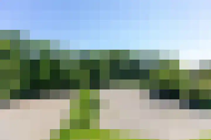 Smidsallee 18 De Steeg thumbnail 46
