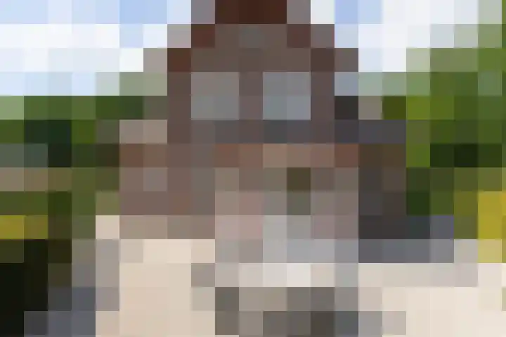 Smidsallee 18 De Steeg thumbnail 48