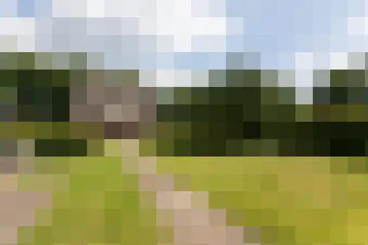 Smidsallee 18 De Steeg thumbnail 49
