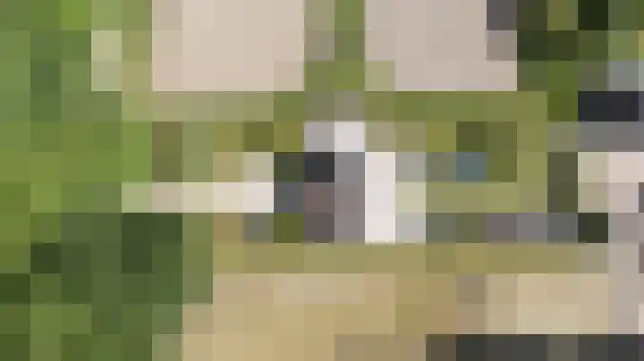 Smidsallee 18 De Steeg thumbnail 5