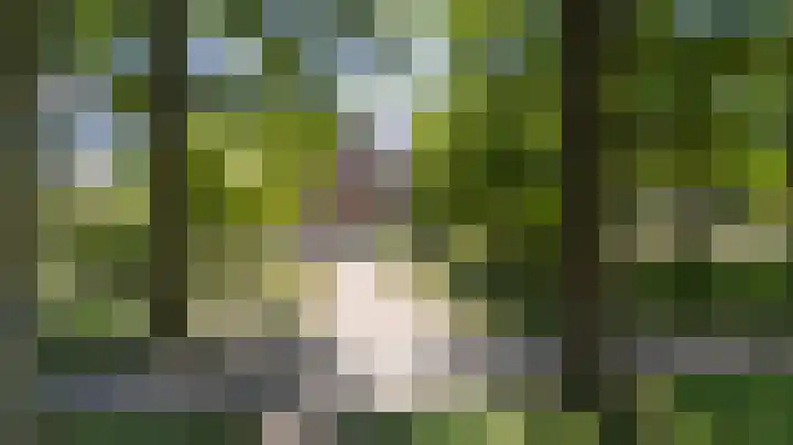 Smidsallee 18 De Steeg thumbnail 57