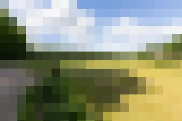 Smidsallee 18 De Steeg thumbnail 59