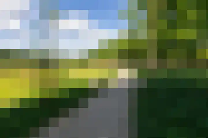Smidsallee 18 De Steeg thumbnail 60