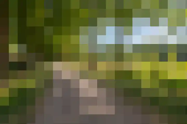 Smidsallee 18 De Steeg thumbnail 61