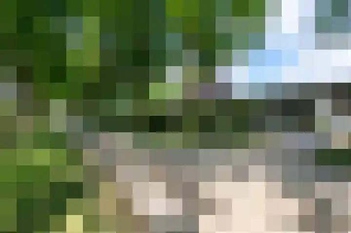 Smidsallee 18 De Steeg thumbnail 62