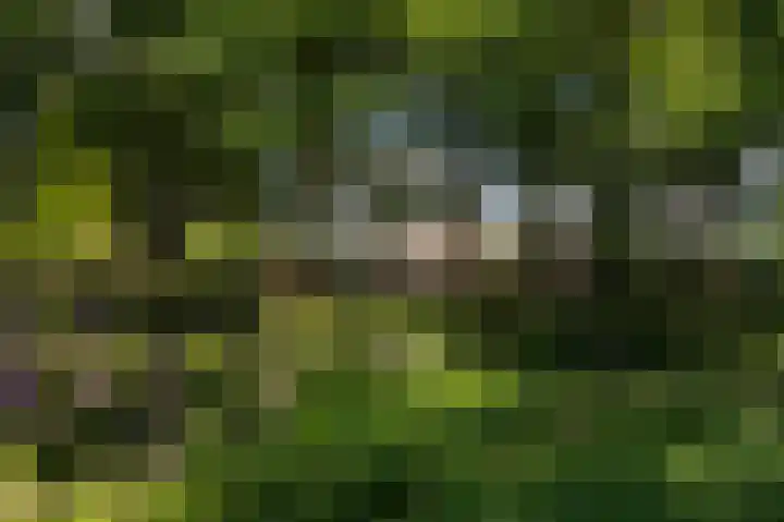 Smidsallee 18 De Steeg thumbnail 63