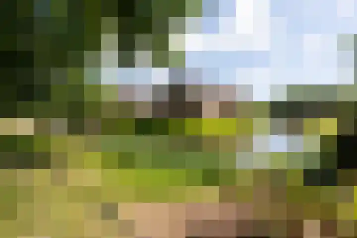 Smidsallee 18 De Steeg thumbnail 64