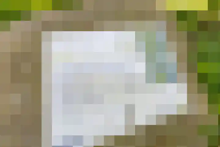 Smidsallee 18 De Steeg thumbnail 66