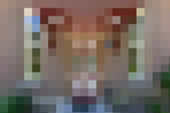 Smidsallee 18 De Steeg thumbnail 8