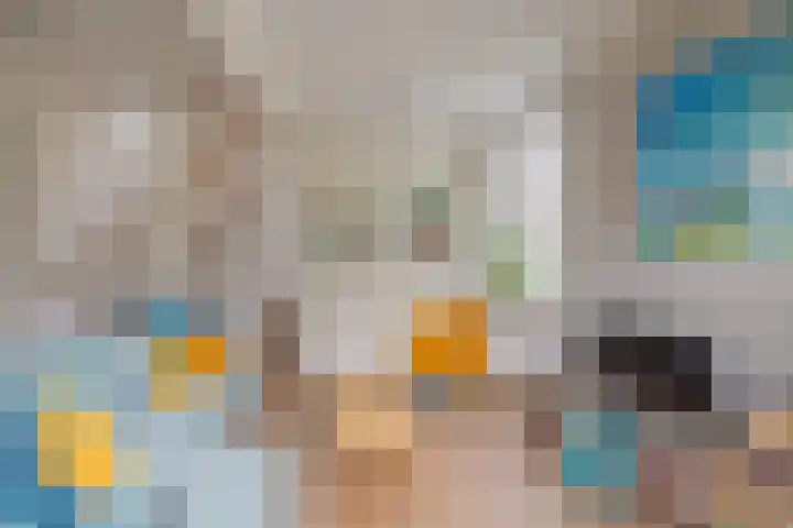 Smidsbolwerk 1 Middelburg thumbnail 15