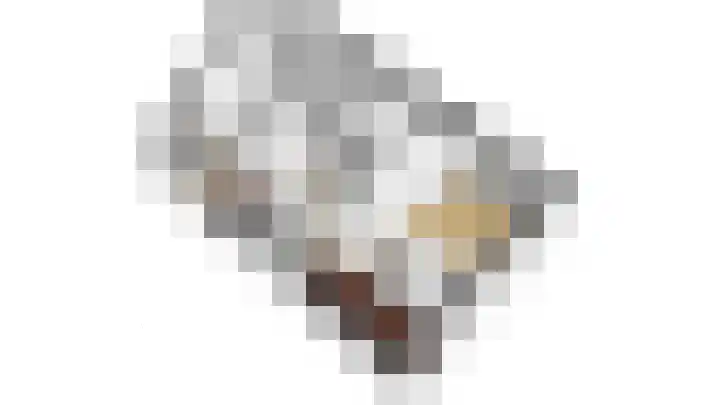 Smidsbolwerk 1 Middelburg thumbnail 25