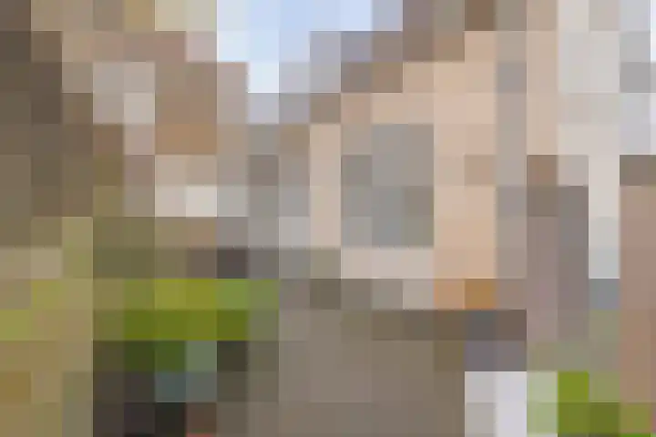 Smidsbolwerk 1 Middelburg thumbnail 6