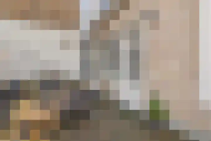 Smidsbolwerk 1 Middelburg thumbnail 8