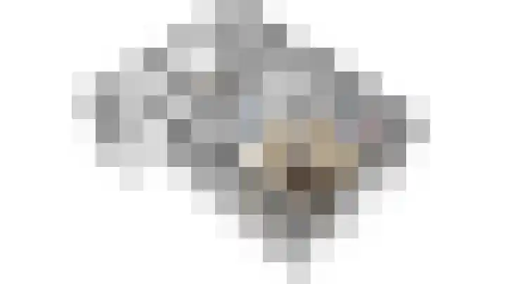 Smidsbolwerk 1 Middelburg thumbnail 9
