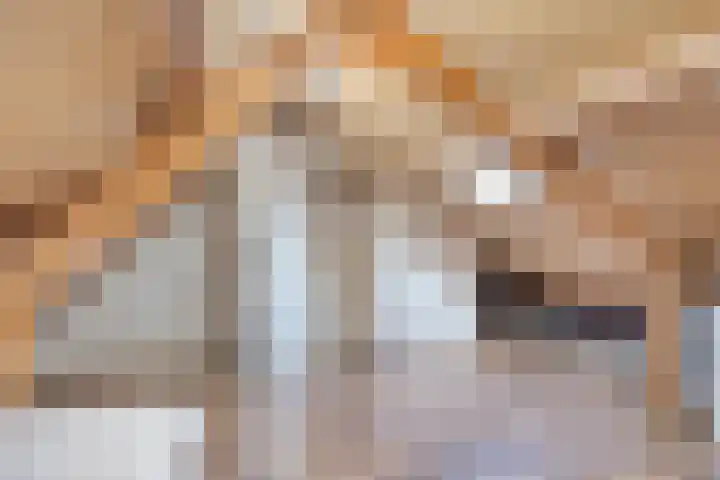 Smidse 11 Schaijk thumbnail 23