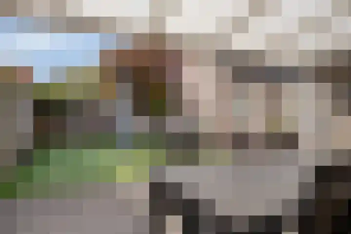 Smidse 11 Schaijk thumbnail 25