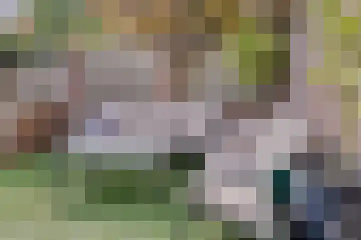 Smidse 11 Schaijk thumbnail 28
