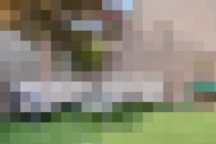 Smidse 11 Schaijk thumbnail 29
