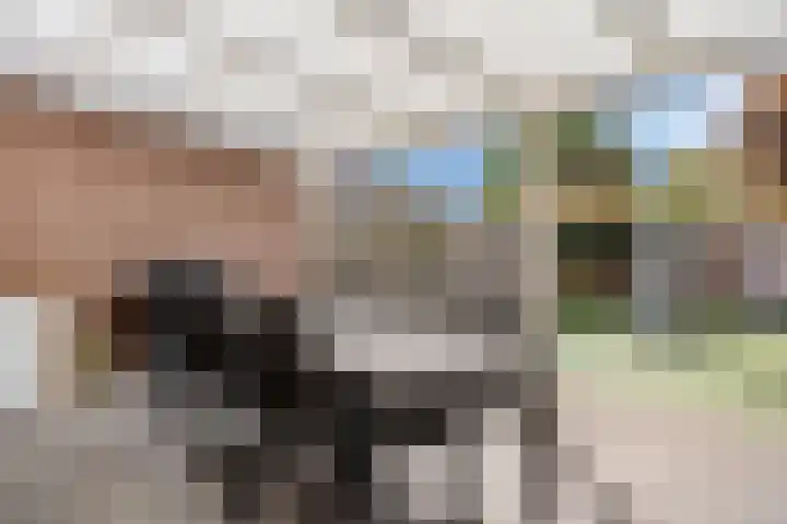 Smidse 11 Schaijk thumbnail 30