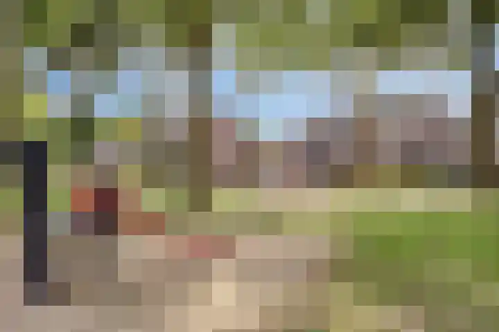 Smidse 11 Schaijk thumbnail 35
