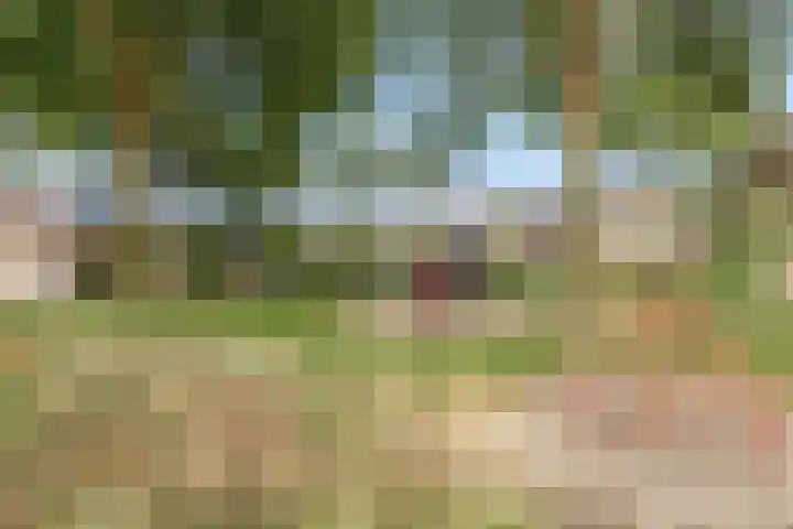Smidse 11 Schaijk thumbnail 36