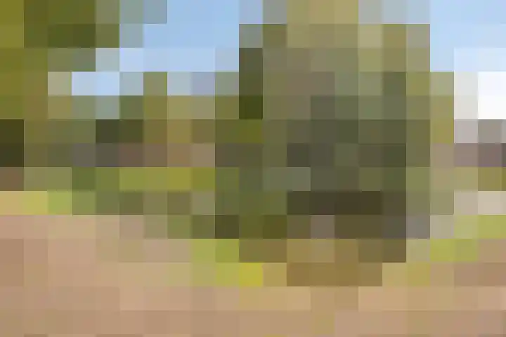 Smidse 11 Schaijk thumbnail 37