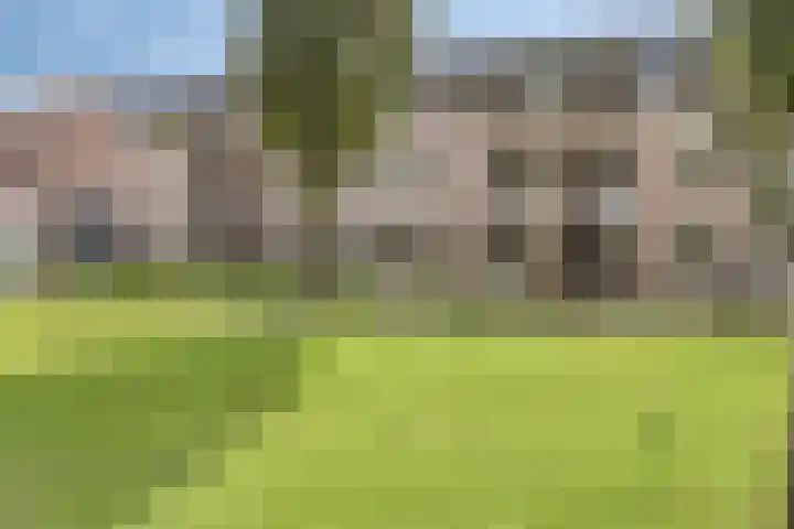 Smidse 11 Schaijk thumbnail 38