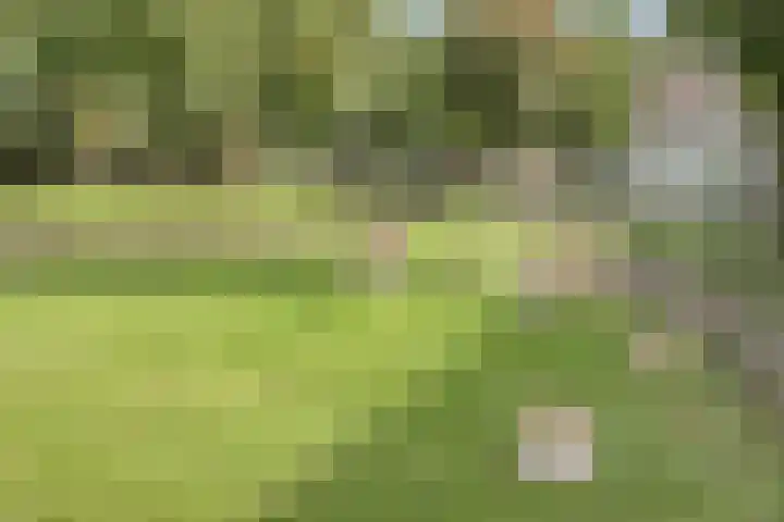 Smidse 11 Schaijk thumbnail 39