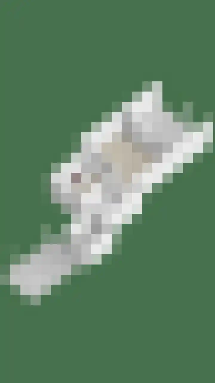 Smidse 11 Schaijk thumbnail 44