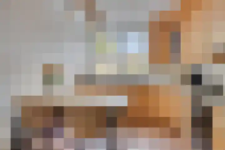 Smidse 11 Schaijk thumbnail 9
