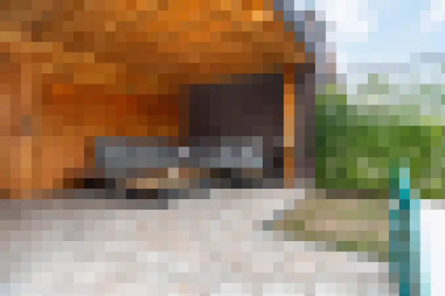 Smidse 13 Weert thumbnail 37