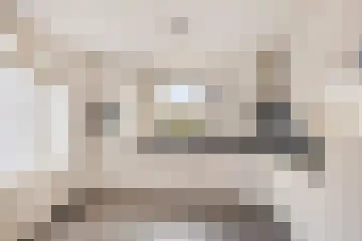 Smidse 145 Schaijk thumbnail 15