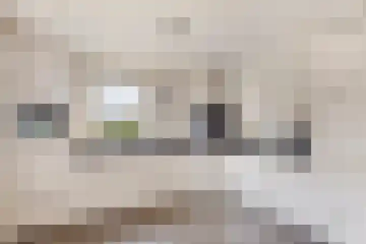 Smidse 145 Schaijk thumbnail 16