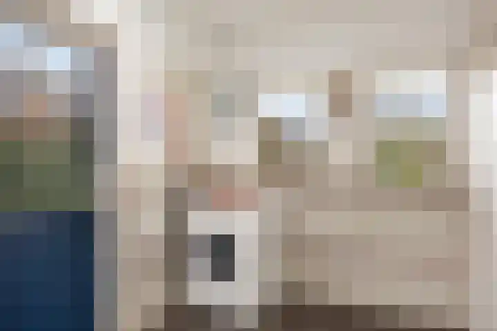 Smidse 145 Schaijk thumbnail 17